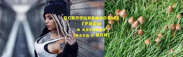 СК Лиски