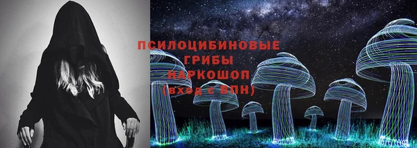 СК Лиски