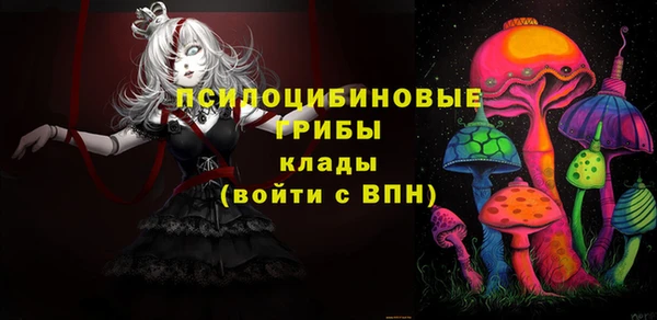 СК Лиски